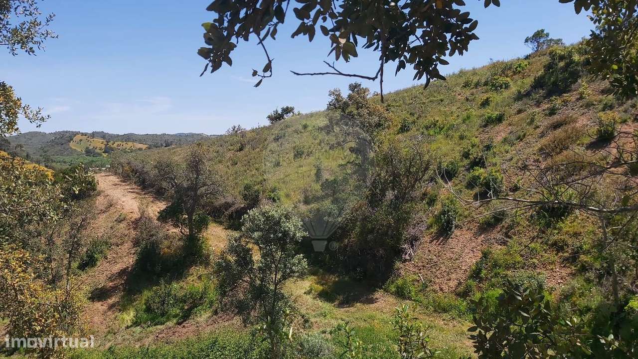 Terreno  para venda - Grande imagem: 4/7