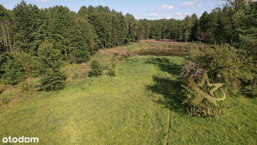 *Urocze miejsce*Morgi*6 ha inwestycji* - Pełny obrazek: 2/14