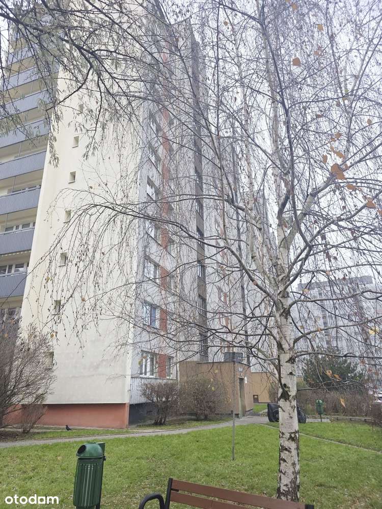 2-pokojowe mieszkanie na Zaodrzu w Opolu SPRZEDAM-0