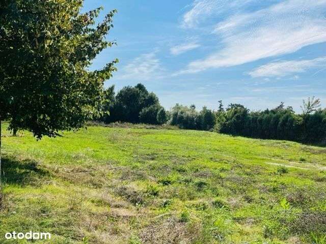 Działka Usługowa w centrum Sierakowa - Pełny obrazek: 5/6