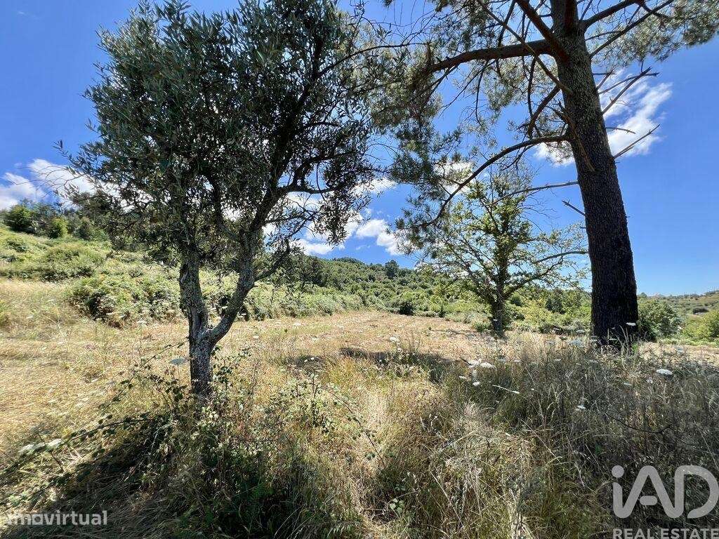 Terreno em São Paio de 24000,00 m2 - Grande imagem: 4/19