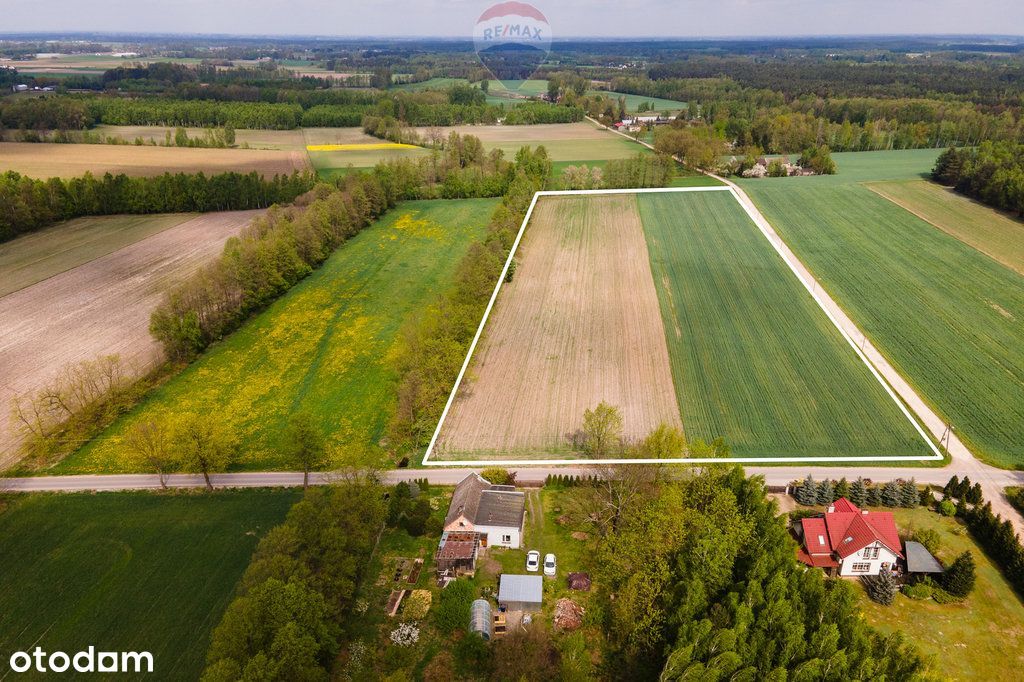 Działka 2,55 Ha w Besiekierzu Rudnym