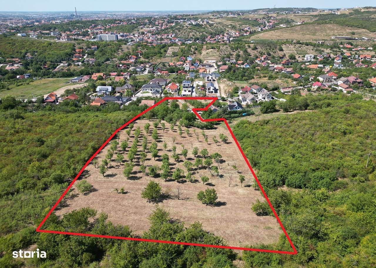 1.4 HA INTRAVILAN - Str. Sofiei - Nymphaea - IMOBIHOR - Imagine principală: 3/8
