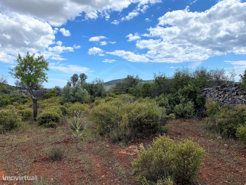 Terreno Rútico com vista Mar, Loulé, Algarve - Grande imagem: 4/13