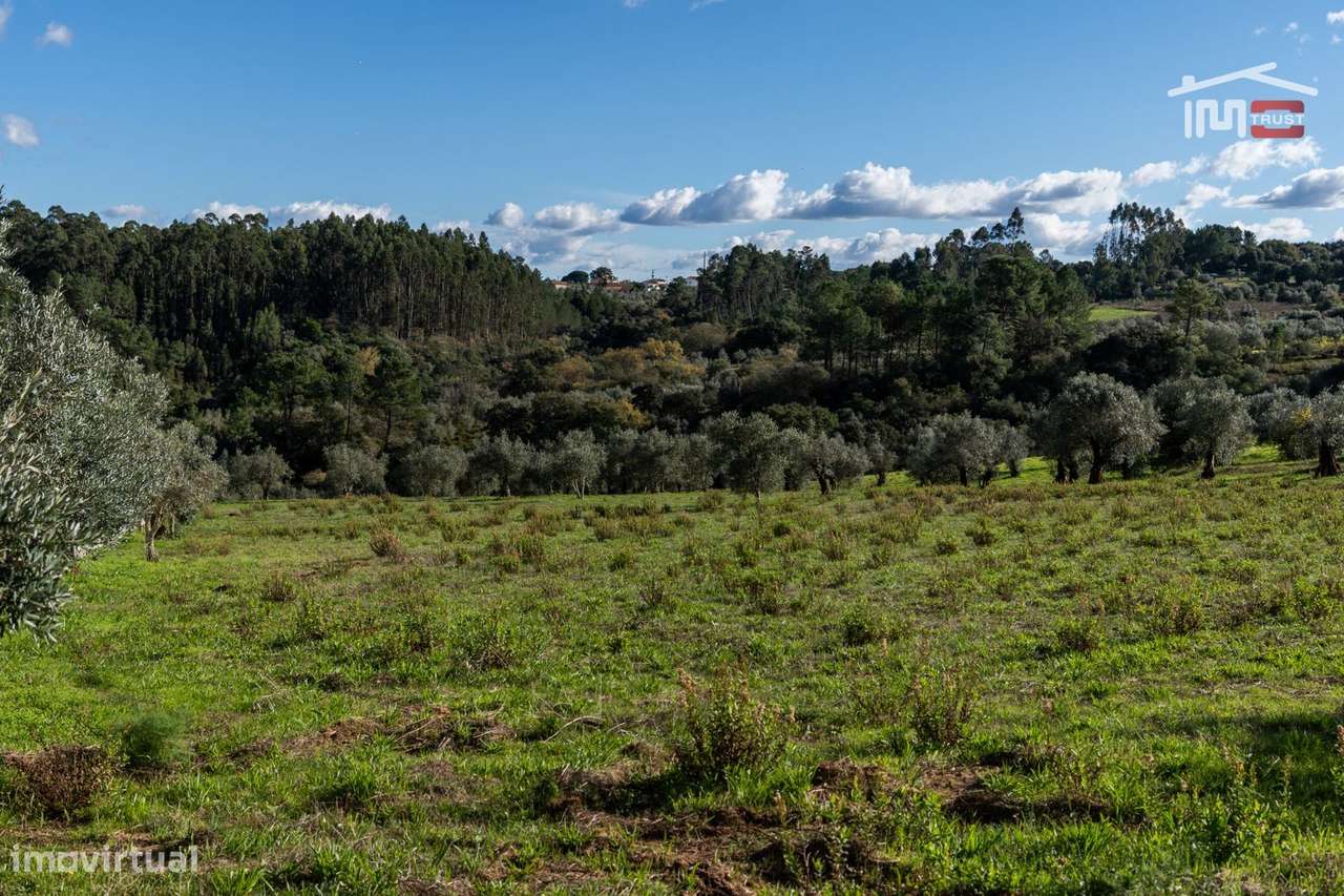TERRENO COM 6.316,50 M2 SITUADO EM ATOUGUIA NUMA ZONA HABITACIONAL ... - Grande imagem: 5/14