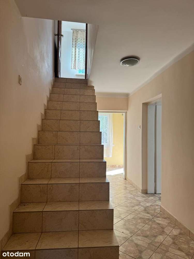 121/17693/ODS - Pełny obrazek: 2/17