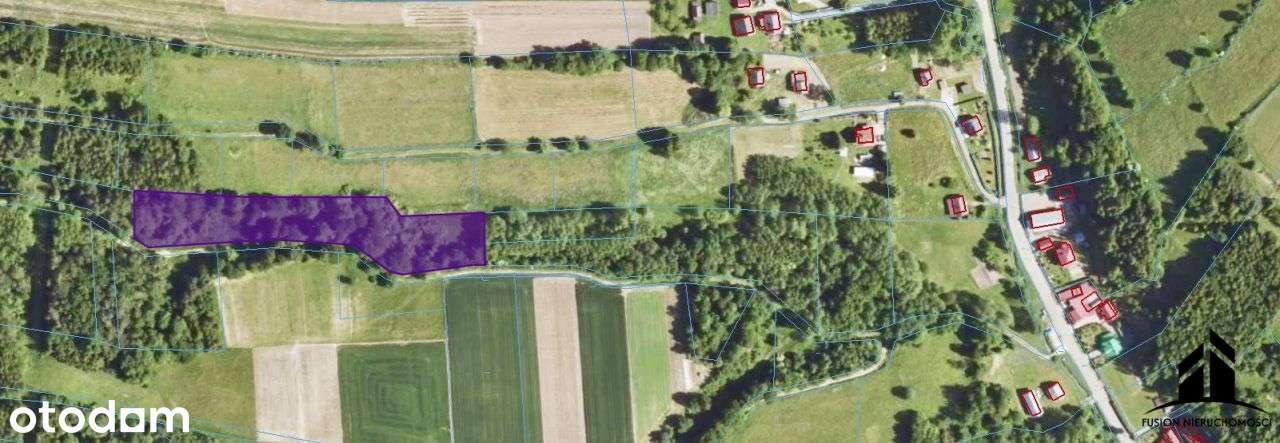 Urokliwa działka z potencjałem | 7842 m² | Łubno,-19