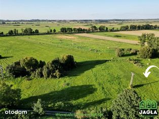 Działka w Występie w otoczeniu natury blisko drogi