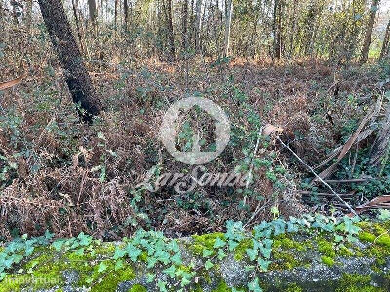 Terreno de 4.157m² em Guidões, Trofa - Grande imagem: 4/10