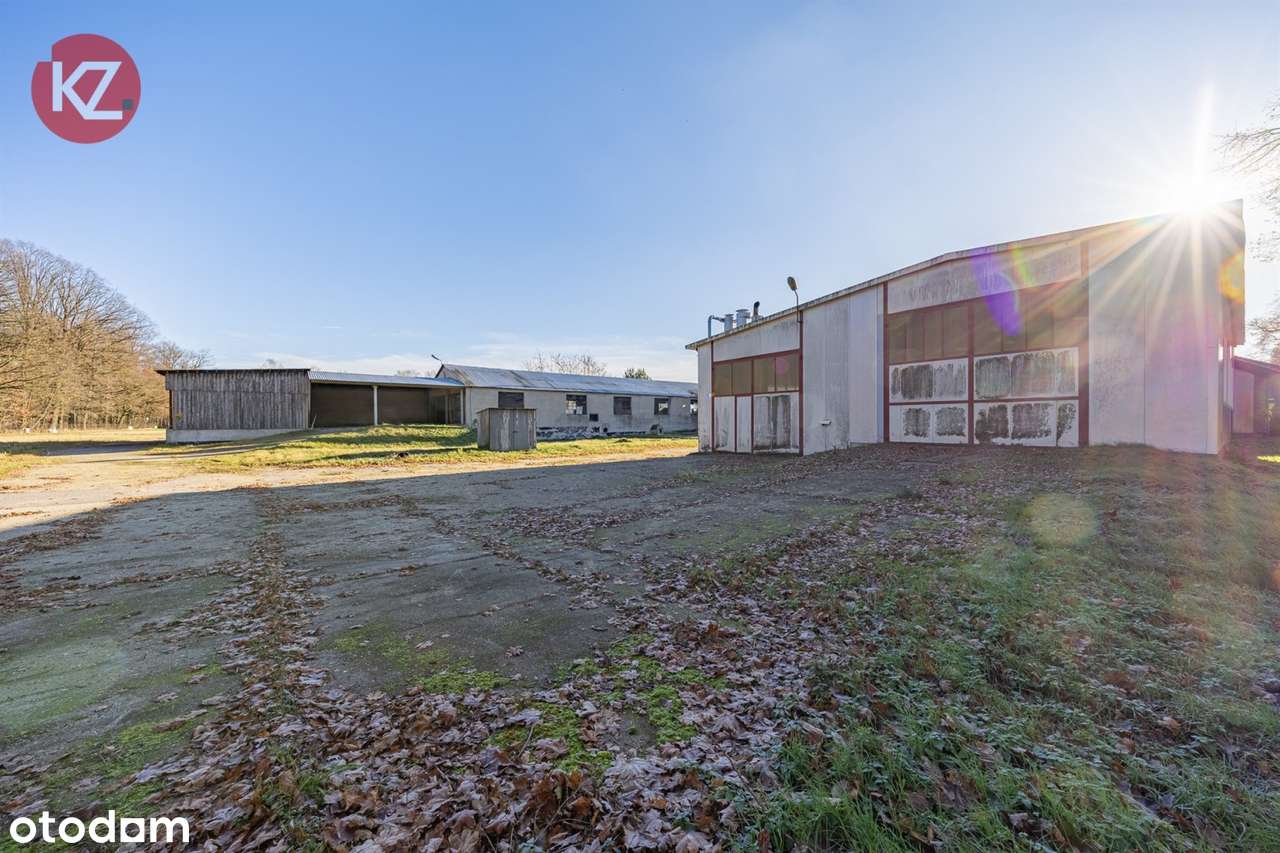 Obiekt na sprzedaż, Margonin (gw)-18