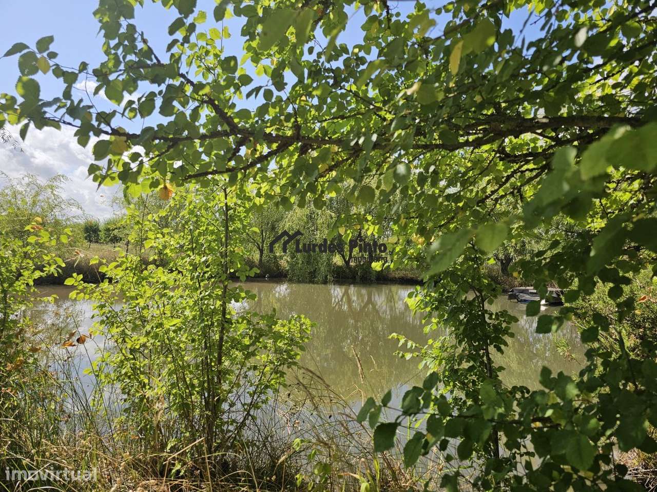 Quinta com habitação-10