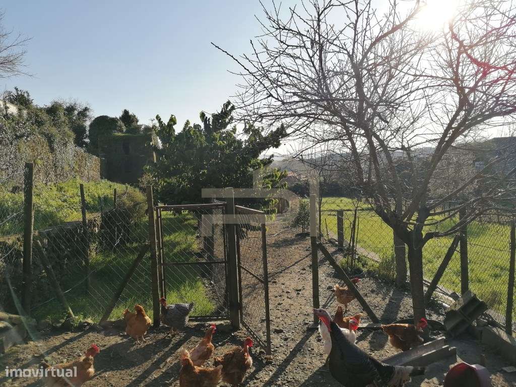 Terreno com 2.430 m² e Ruína em Ribeirão-11