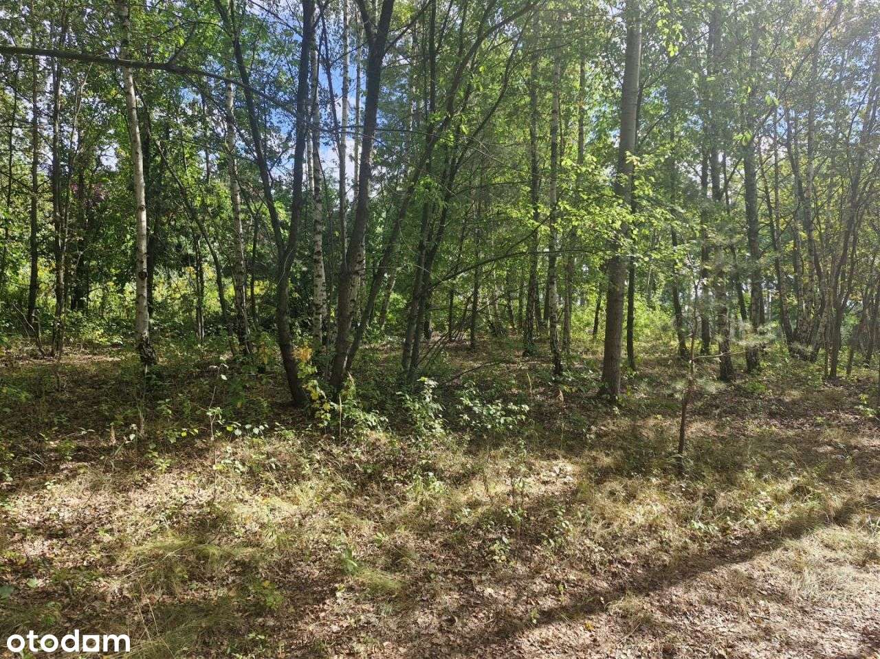 Działka, 942 m², Zgierz - Pełny obrazek: 4/6