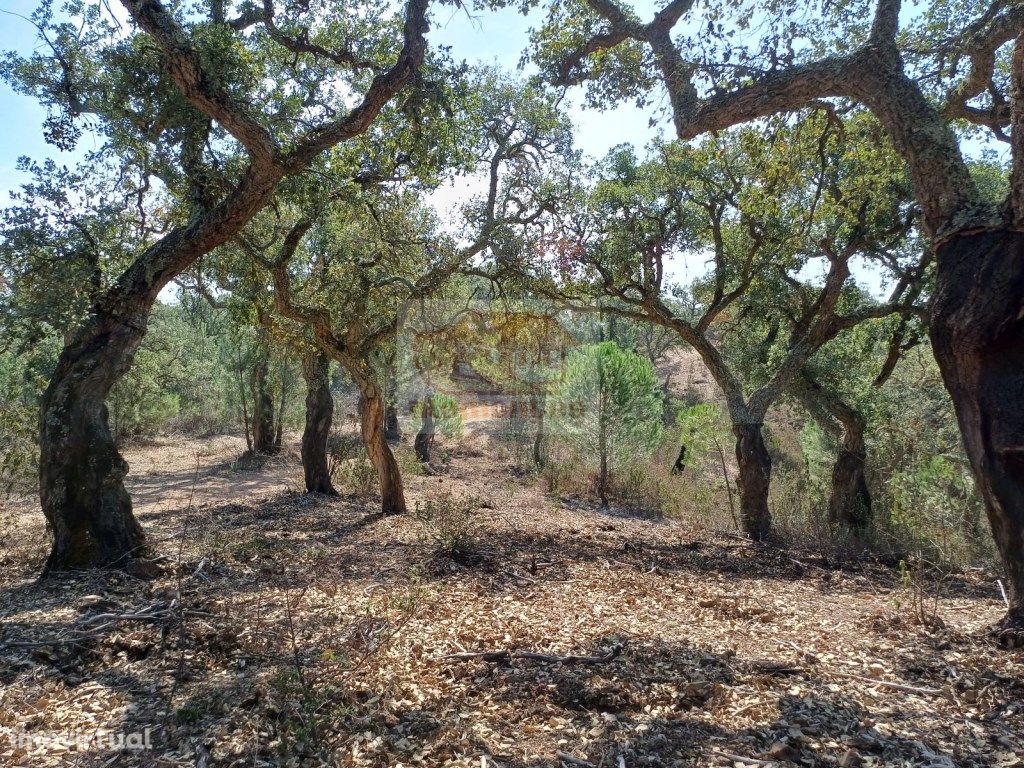 Terreno na serra a 15 minutos das praias