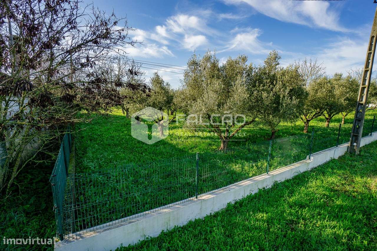 Moradia T5 Venda em Póvoa da Isenta,Santarém - Grande imagem: 4/60