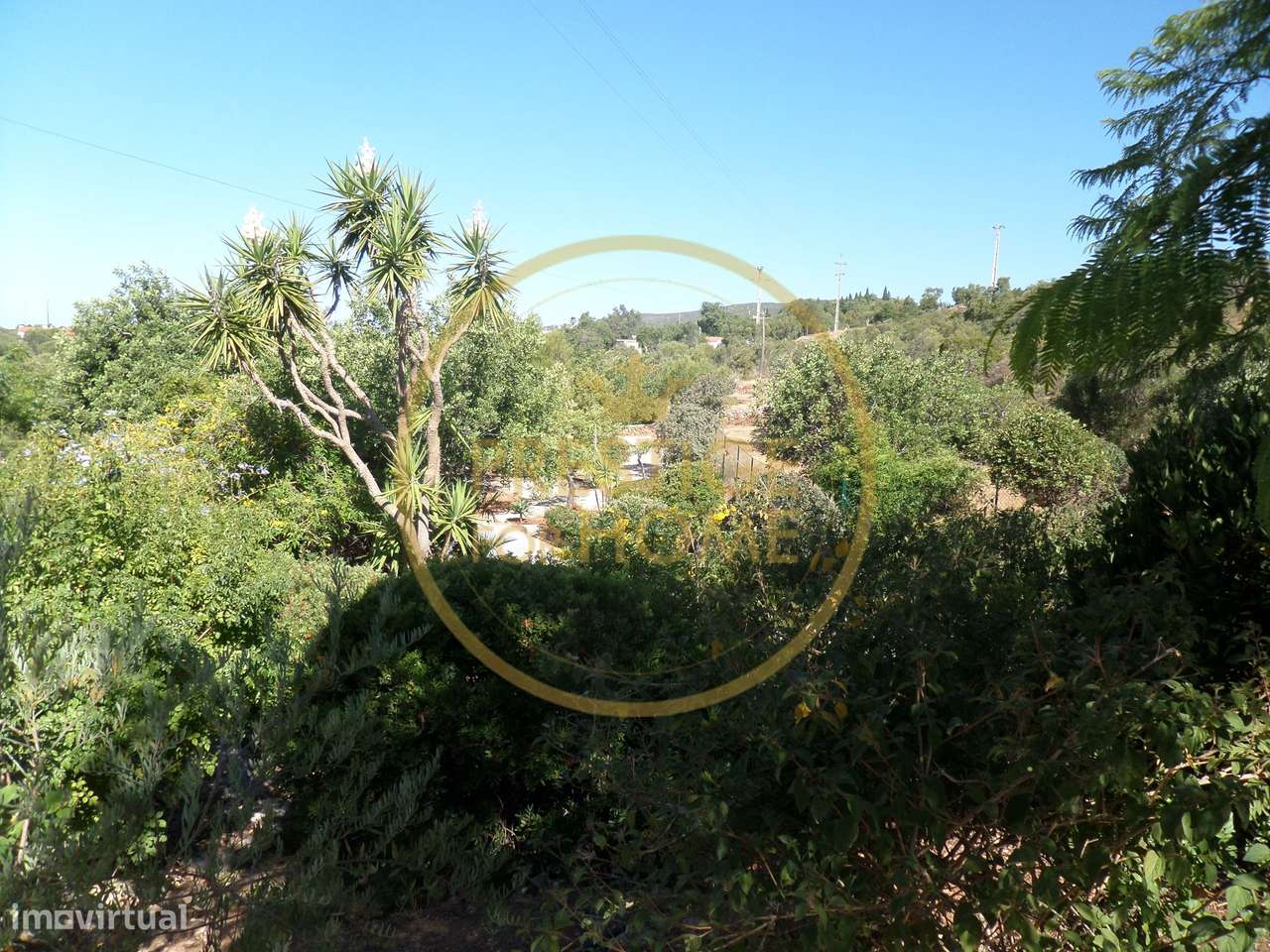 Moradia T3 com Vista Mar Panorâmica, Piscina e 5.000 m² de Terreno – S-58