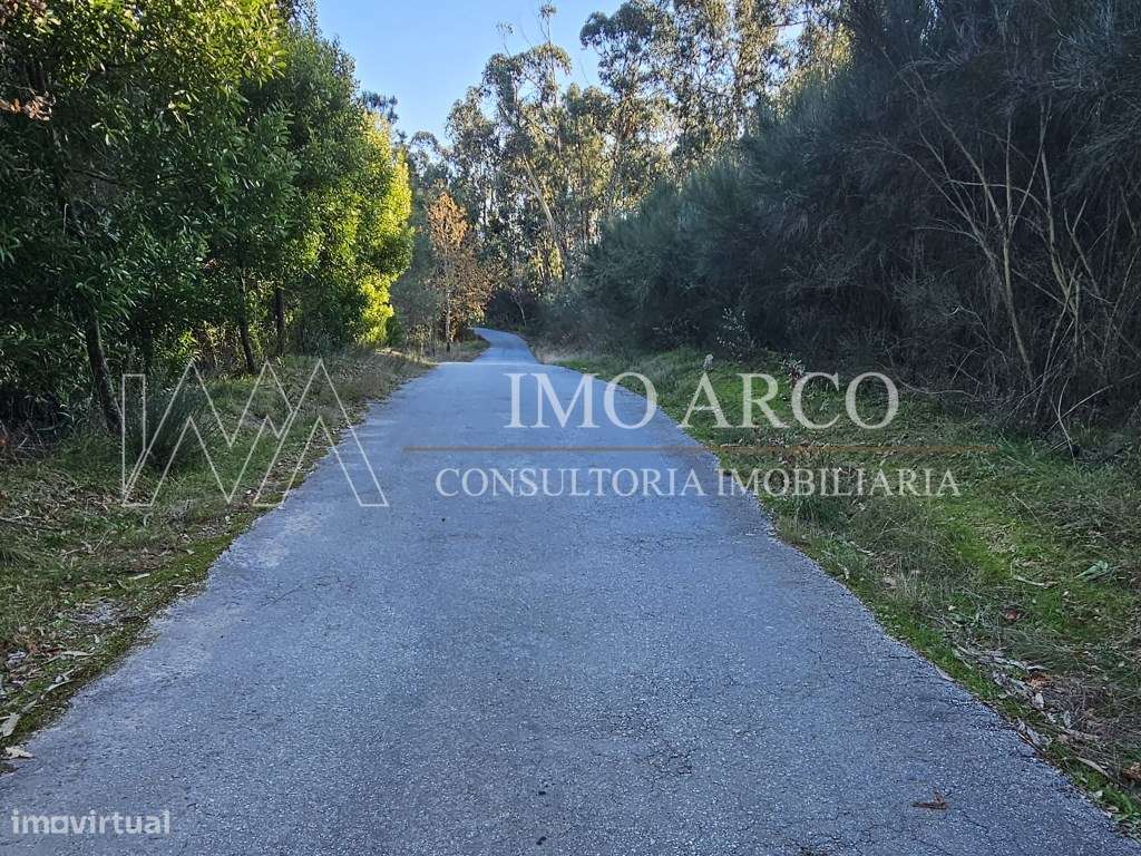 Terreno. Rustico em Pedraça - Grande imagem: 4/20