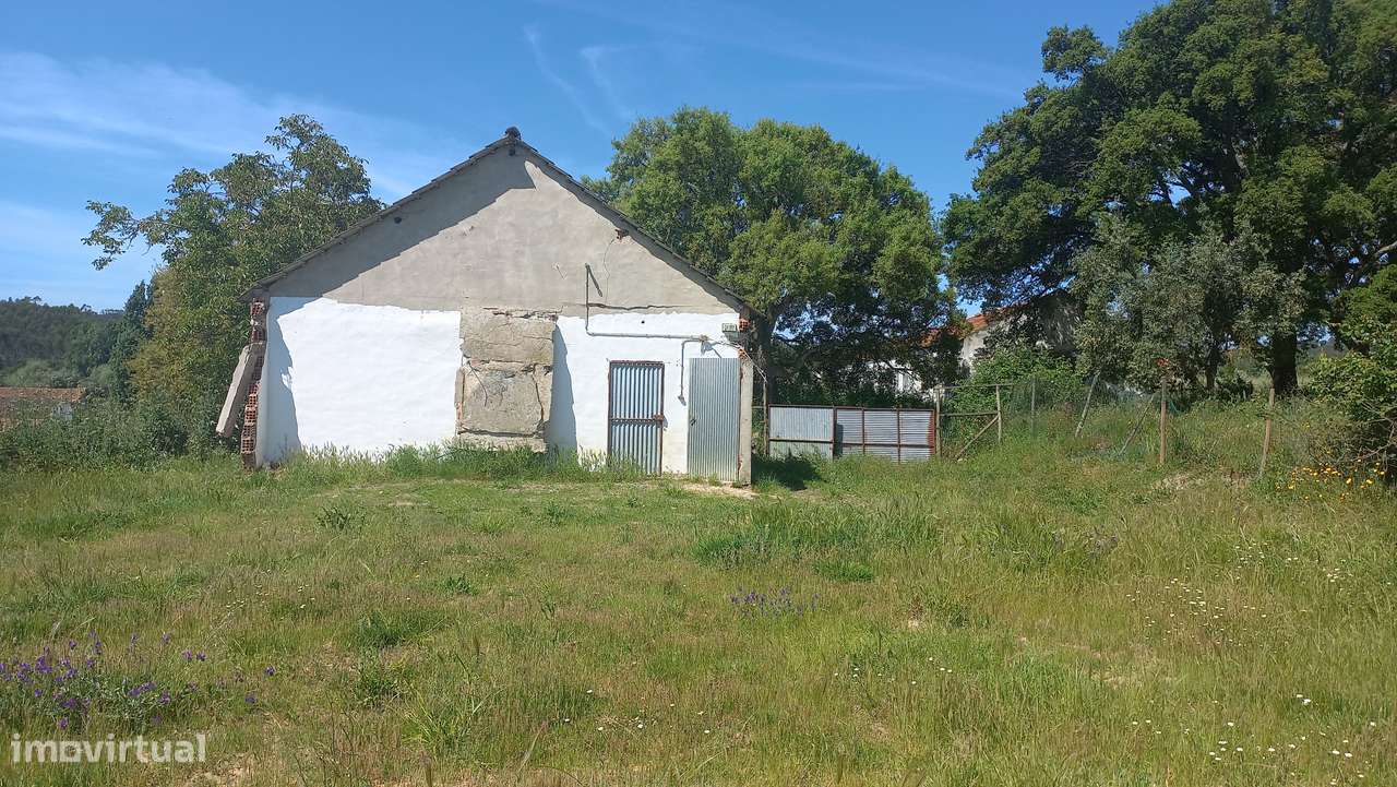 Terreno Único com Construção Autorizada e Água Todo o Ano – Rio Maior - Grande imagem: 2/22