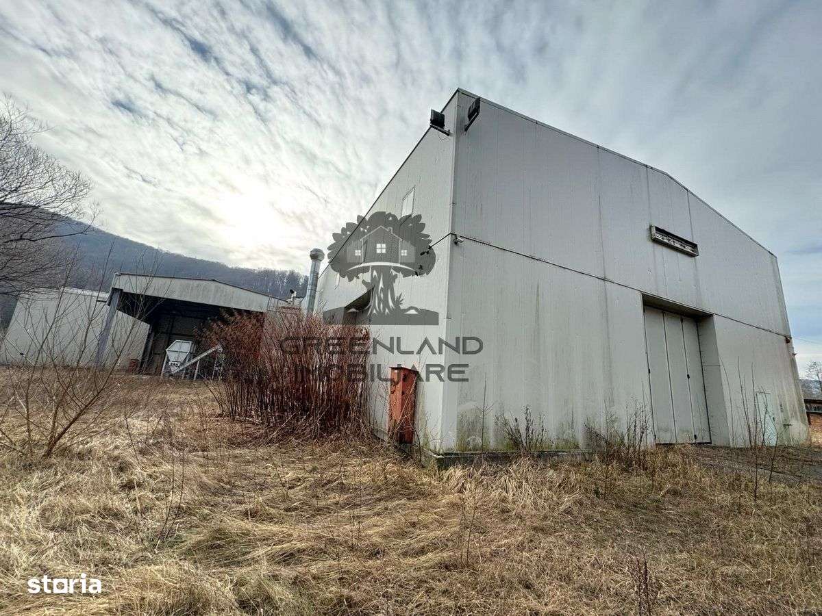 HALA INDUSTRIALA 2000mp + 20.000mp teren, la DN, traf 1000kw, ca noua-5