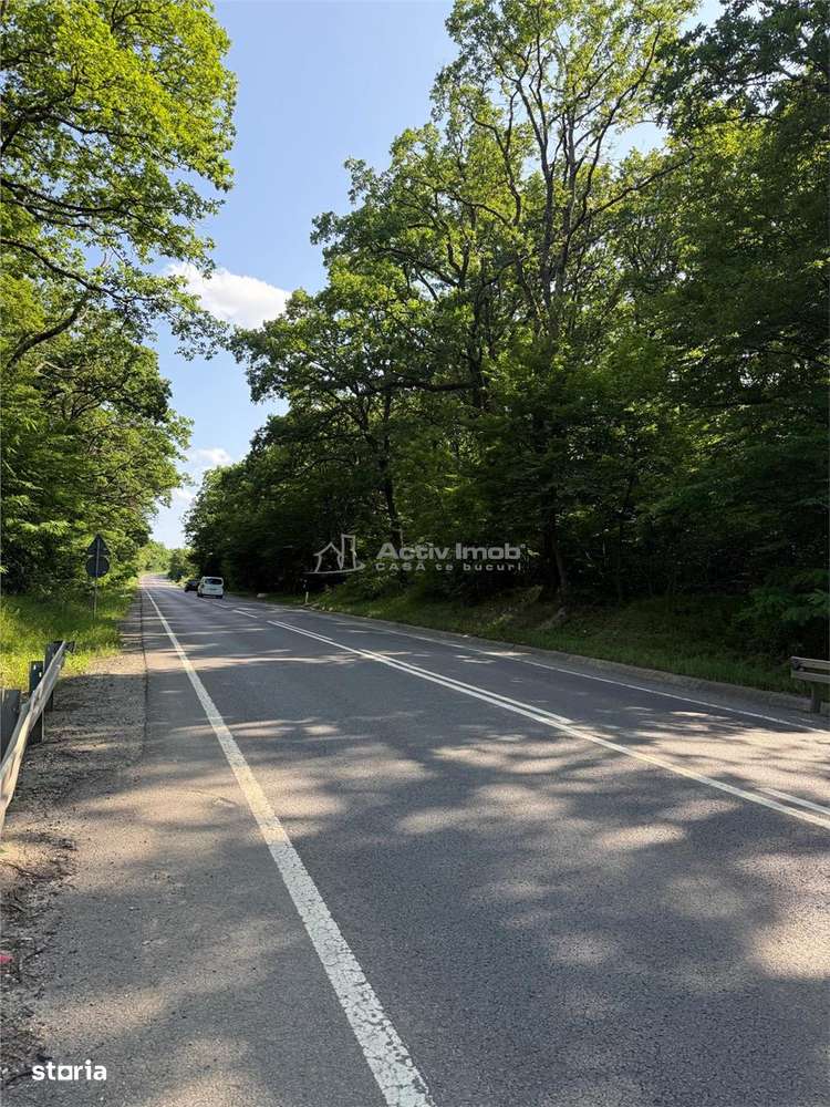 Teren de vanzare la liziera padurii  Sura Mare - Imagine principală: 3/6