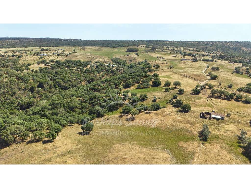 Terreno Misto para construção de Habitação ou Turismo - Melides-23