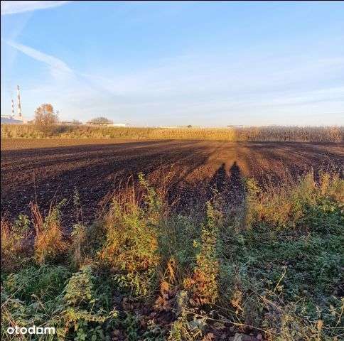 Działka, 5 124 m², Tychy-2