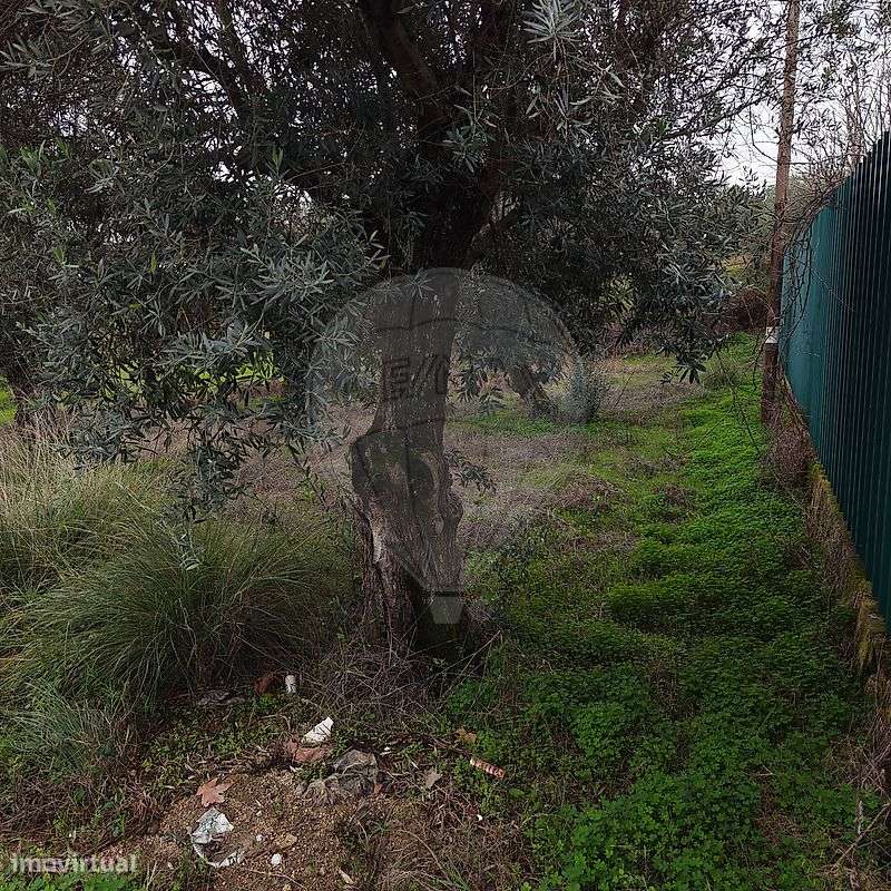 Terreno  para venda - Grande imagem: 2/11