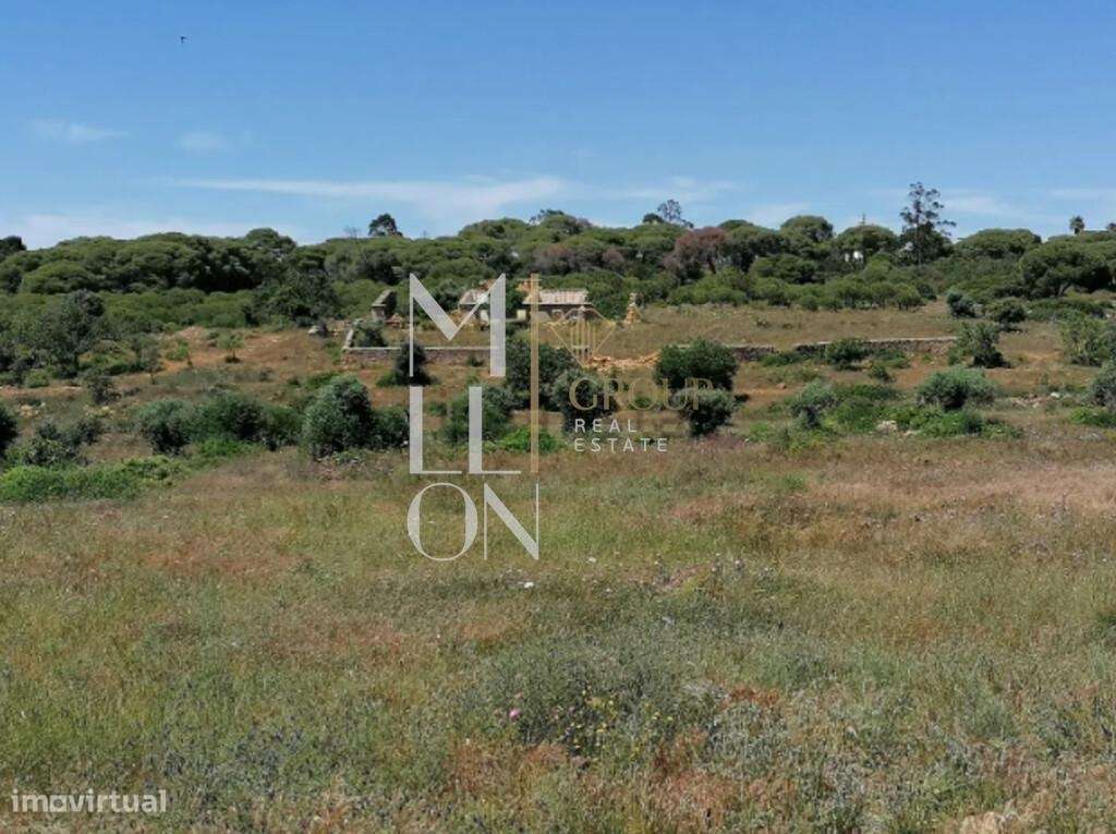 Quinta de 17 Hectares em Porches | A 5 Minutos do Mar | Potencial Turí - Grande imagem: 4/7