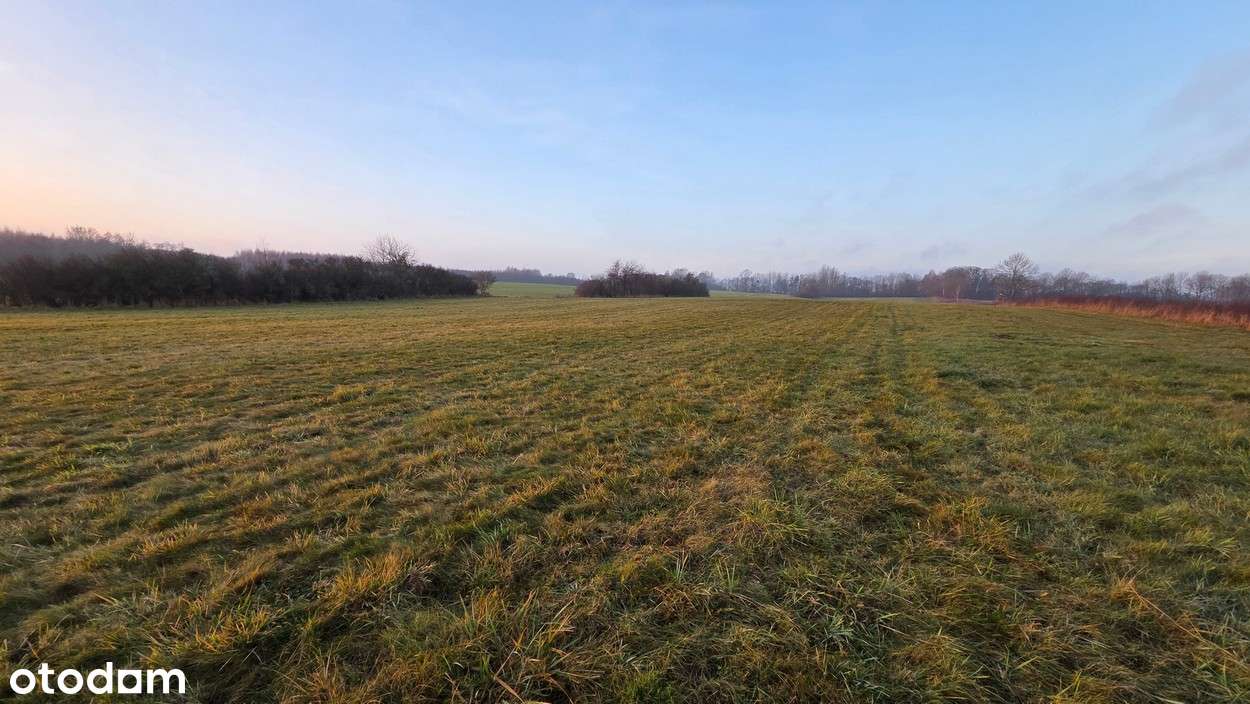 Na sprzedaż działka w miejscowości Młynary-6