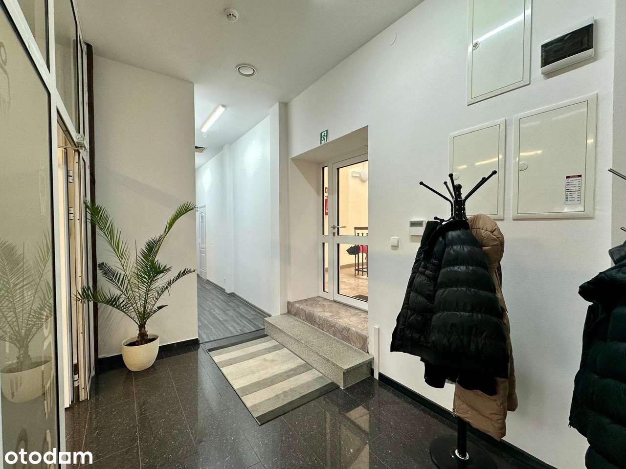 Lokal biurowy, ul. Sobieskiego 270m - Pełny obrazek: 4/11