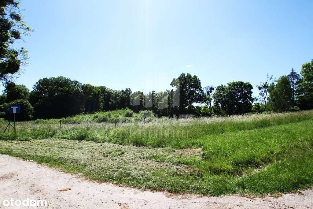 Działka budowlana ze stawem 11.000m2 Szpęgawsk - Pełny obrazek: 5/10