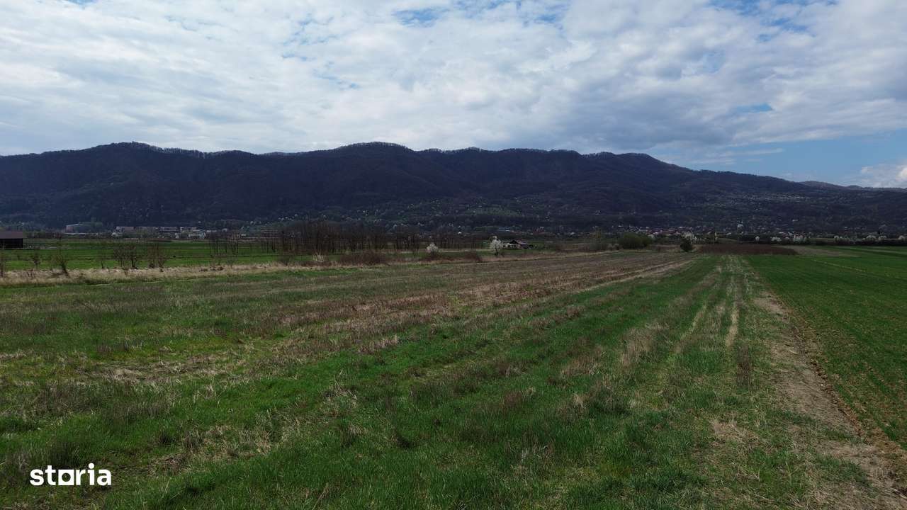 Teren / Jiblea Noua / Calimanesti /-1