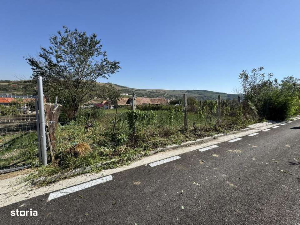 Teren intravilan de vanzare | 1352 mp | Comuna Pauca - Imagine principală: 2/8