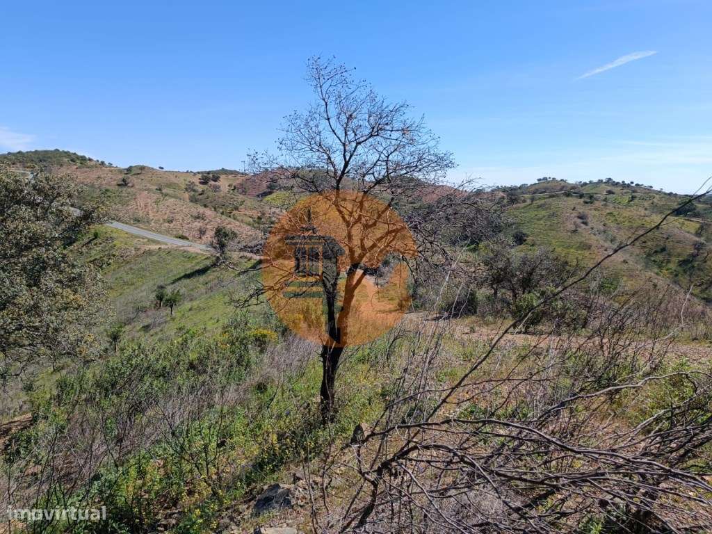 TERRENO COM 43.560 M2 - COM POSSIBILIDADE DE CONTRUIR UM ARMAZÉM - ... - Grande imagem: 5/24