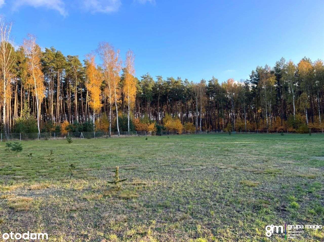 Piękna duża działka w enklawie lasu z Wz - Pełny obrazek: 4/15