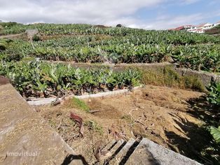 Ilha da Madeira - terreno para construção de moradia - Grande imagem: 5/18