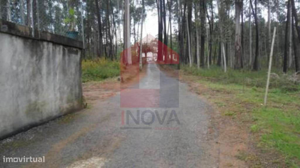Terreno, Freiriz - Grande imagem: 4/6