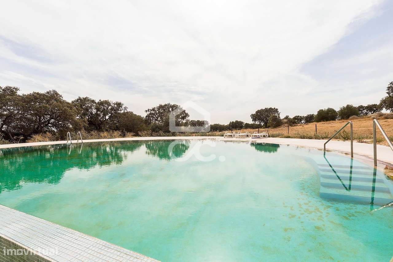Herdade de 41 ha c/ Moradia T3+1  e Piscina | Elvas - Grande imagem: 3/60