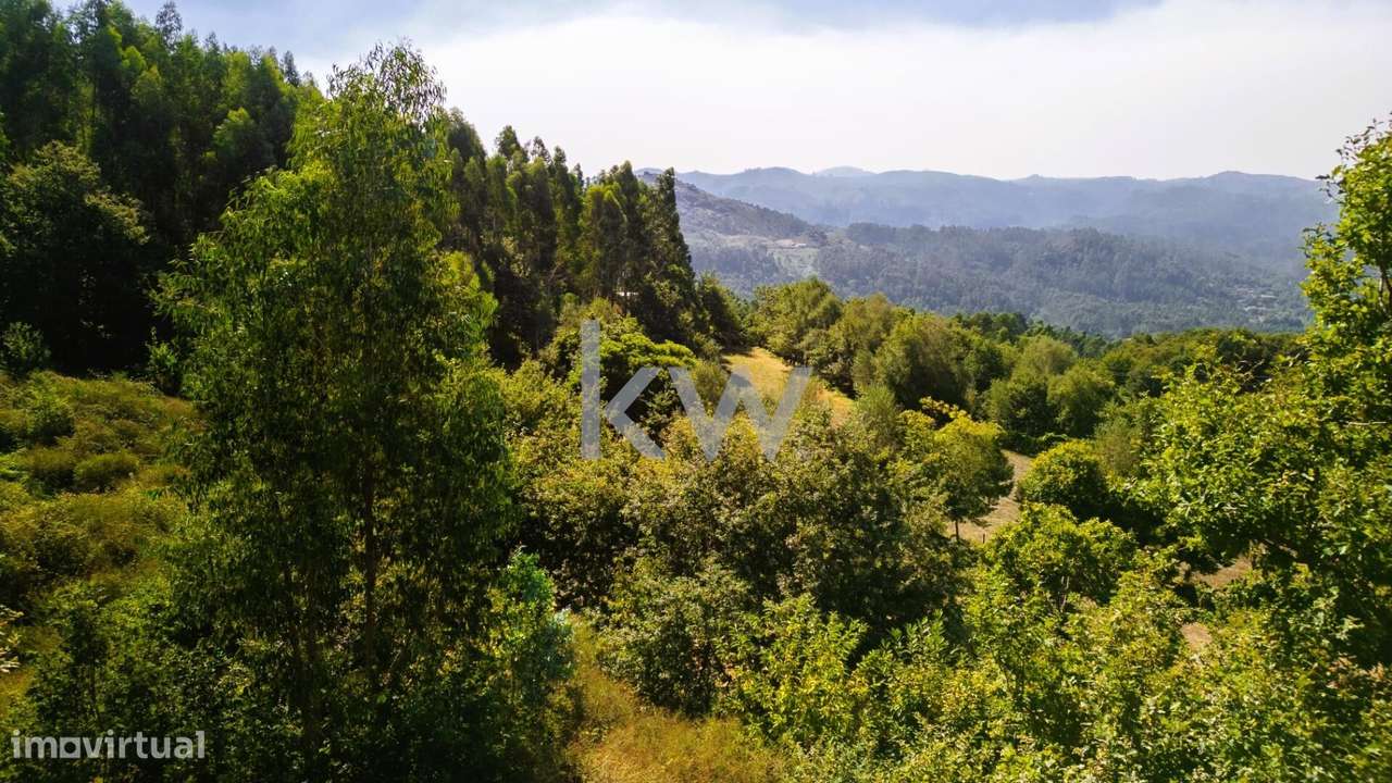 Terreno Rústico em Anjos com ~48800m2 - Vieira do Minho - Grande imagem: 4/20