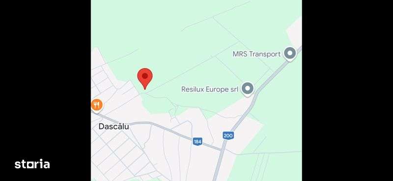 Teren intravilan DASCALU 15.900 MP - Imagine principală: 5/6