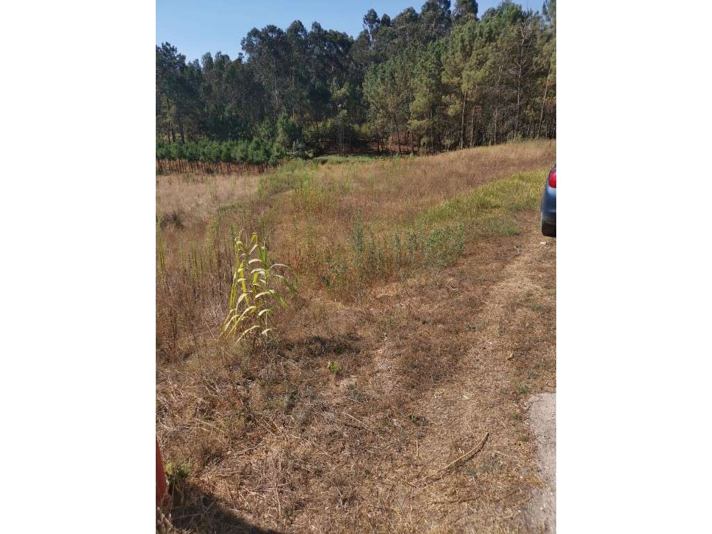 Terreno, Milagres, Leiria - Grande imagem: 5/7