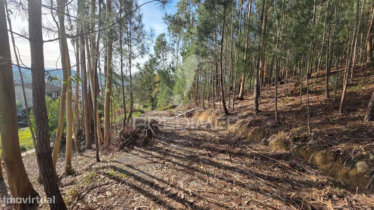 Oportunidade - Terreno Urbano com 842 m² – Santa Eufémia, Leiria - Grande imagem: 5/22