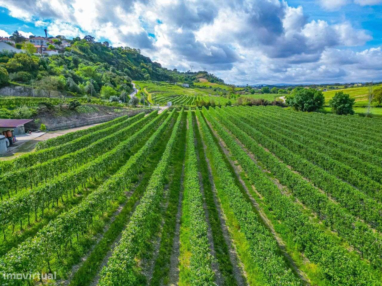 Terreno com 93.320 m2 - Grande imagem: 4/14