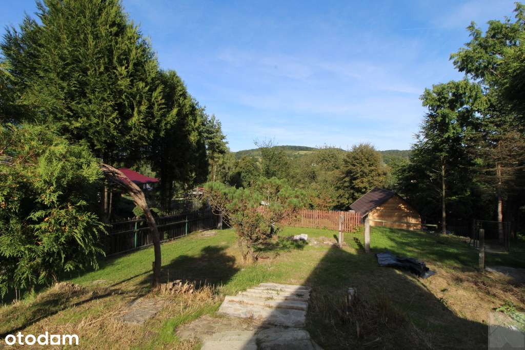 Domek letniskowy Olszany - Pełny obrazek: 4/17