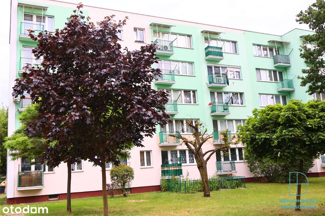 2-pokojowe mieszkanie, ul. Chrobrego – osiedle Grunwald - Pełny obrazek: 2/16