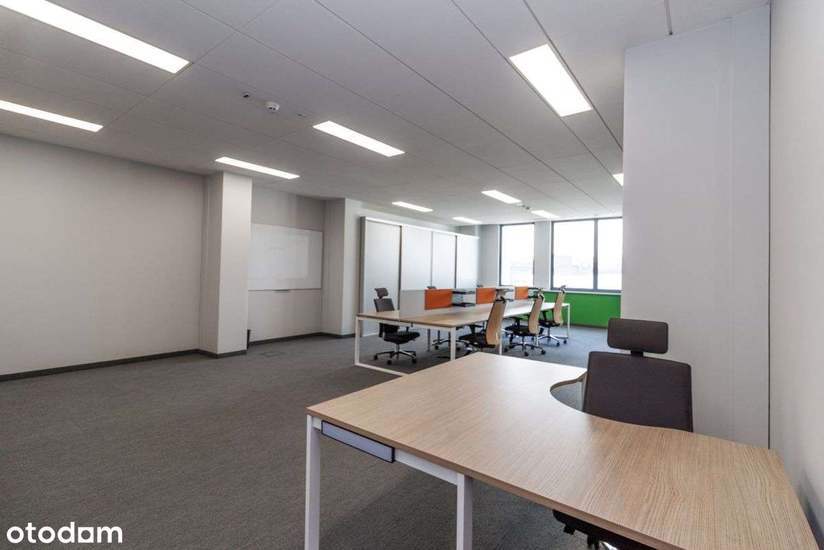 Klasa A | Różne metraże! | Media W Cenie! - Pełny obrazek: 5/8