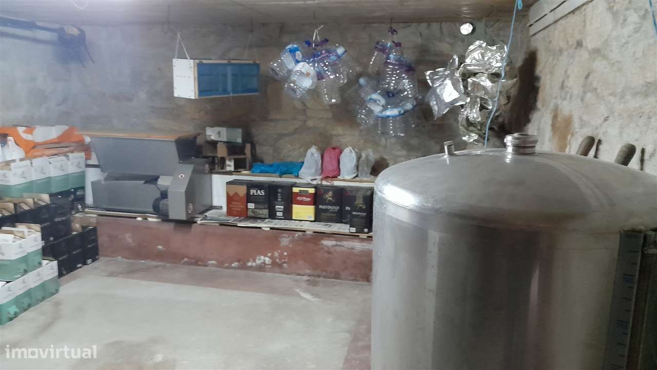 Quinta T3 Venda em Escalos de Baixo e Mata,Castelo Branco - Grande imagem: 4/57