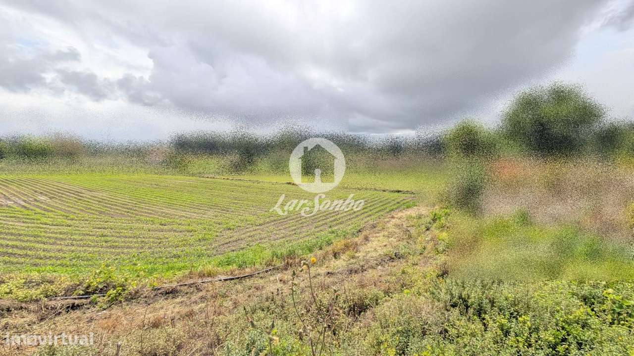 Terreno à Venda na Junqueira - Grande imagem: 5/18