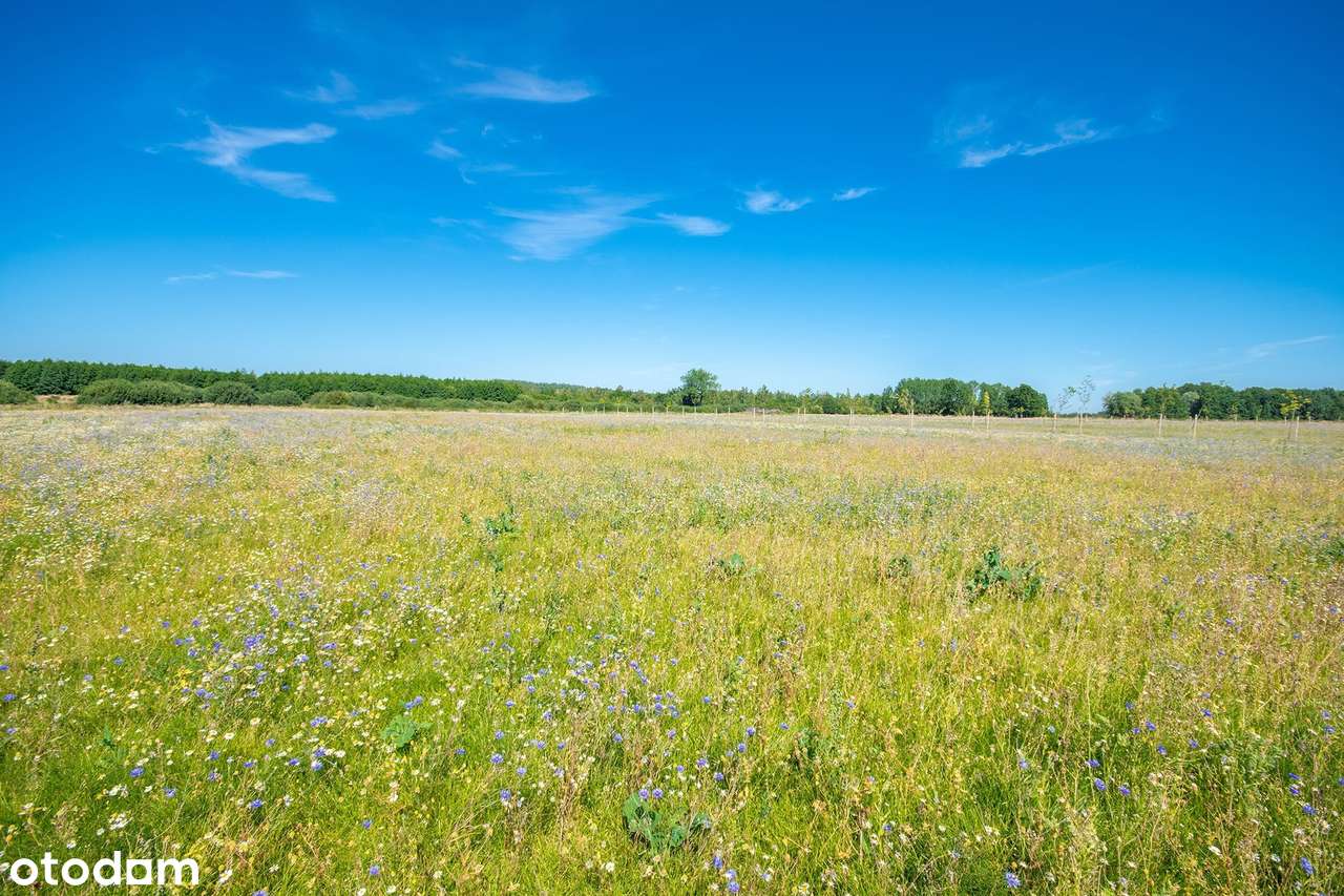Budowlana w MPZP - bez podatku PCC - transze 2 lata bez odsetek-0