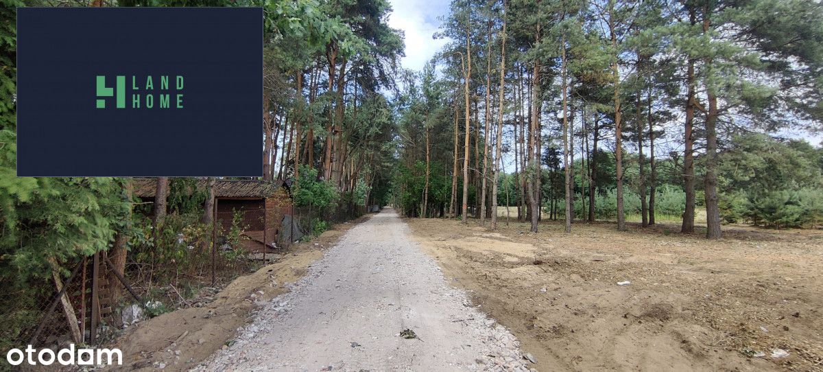Duża, ostania działka przy lesie Młochowskim